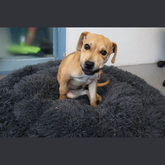Photo of Ernie