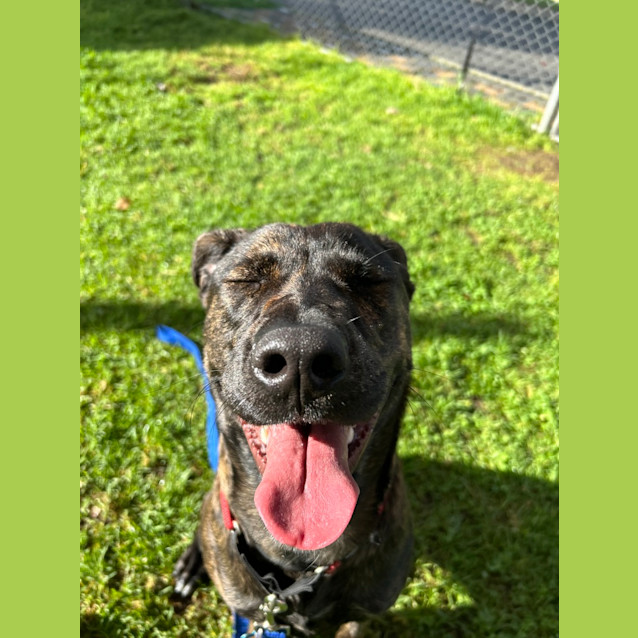 Photo of Thea