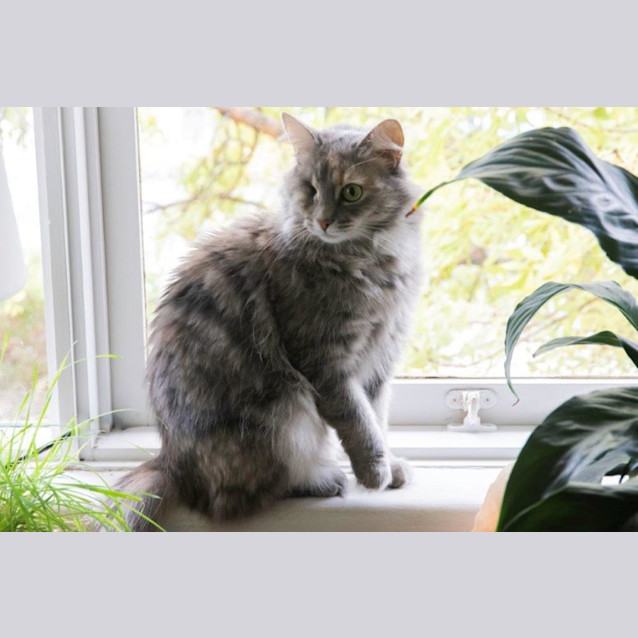 Photo of Holly Babbington