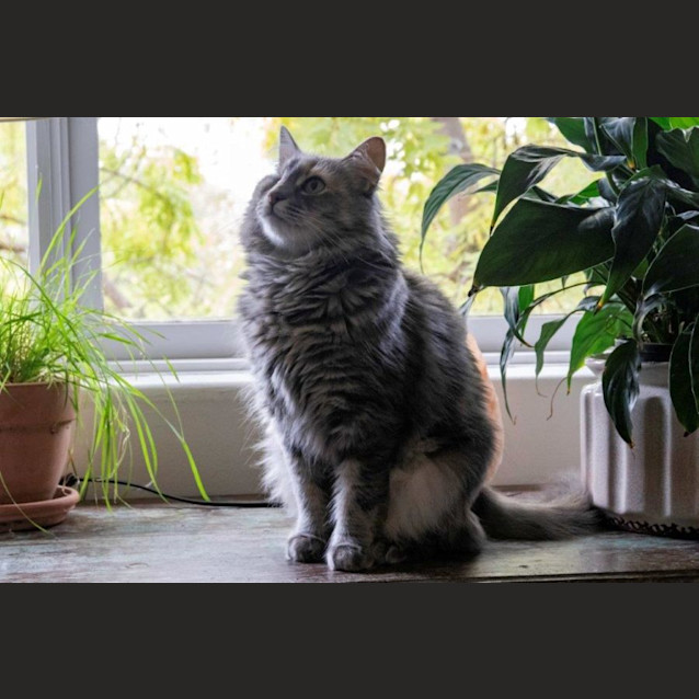 Photo of Holly Babbington