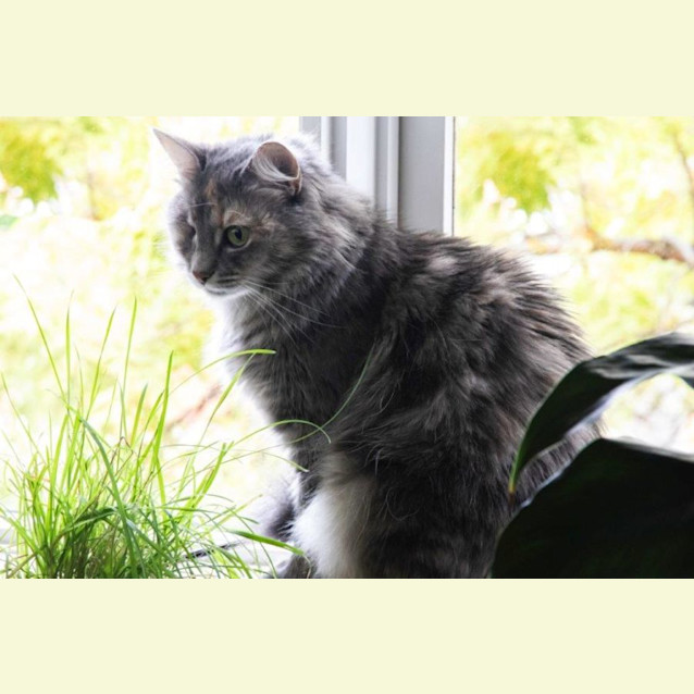 Photo of Holly Babbington