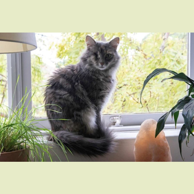 Photo of Holly Babbington