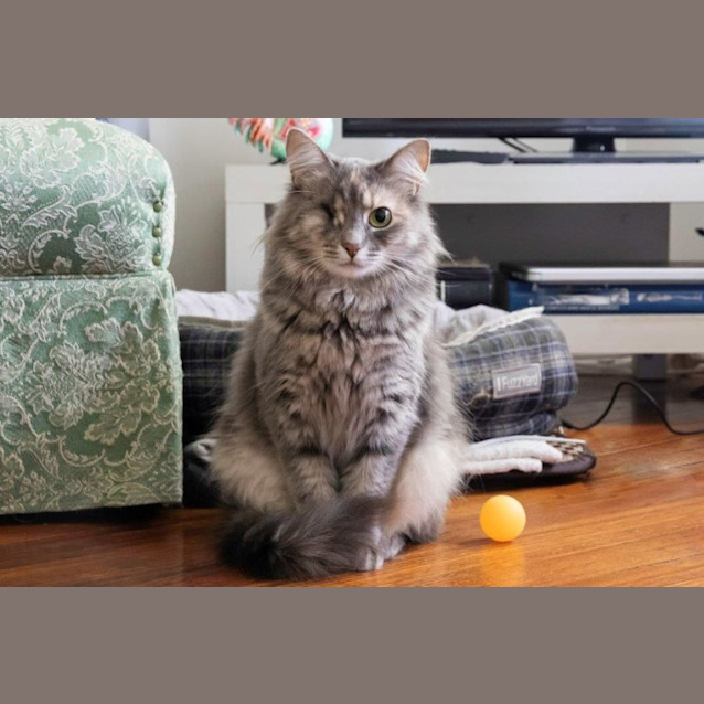 Photo of Holly Babbington