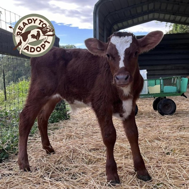 Photo of Mars And Freddo