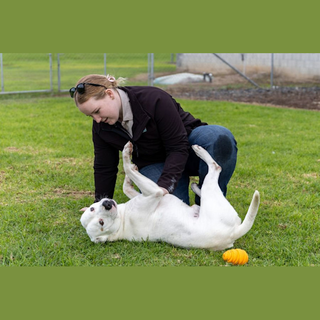 Photo of Spot 