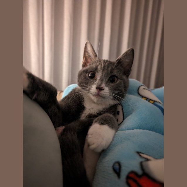 Photo of Pop Smoke 🤯✨