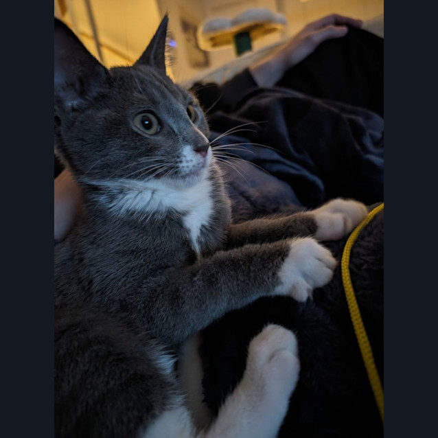 Photo of Pop Smoke 🤯✨