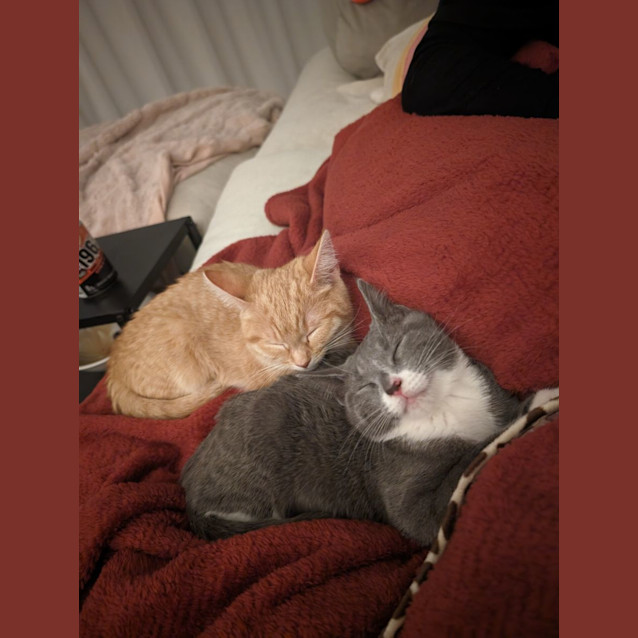 Photo of Pop Smoke 🤯✨