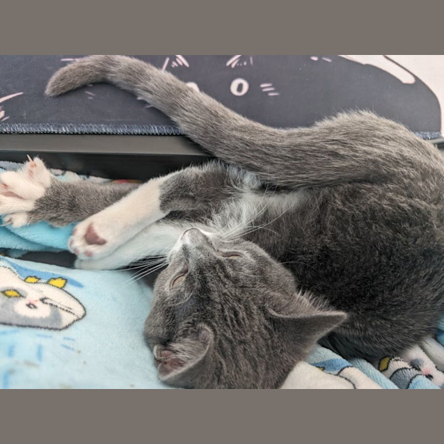 Photo of Pop Smoke 🤯✨