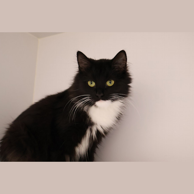 Photo of Lola