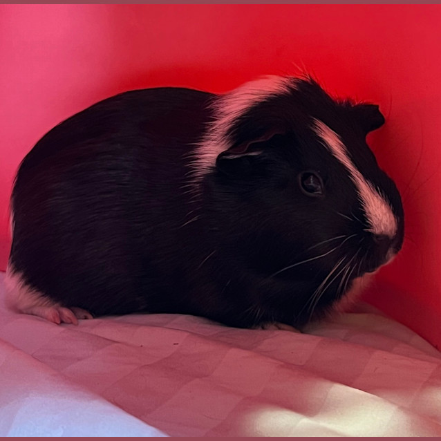 Photo of Miss Mo