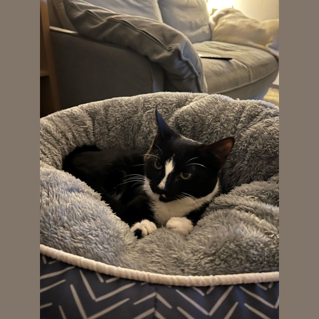 Photo of Max