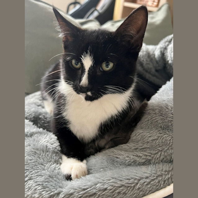 Photo of Max