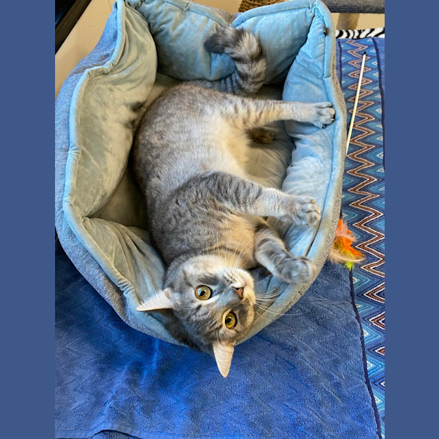 Photo of Jinx