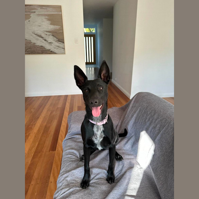 Photo of Laverne