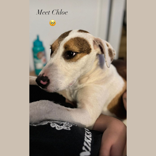 Photo of Chloe