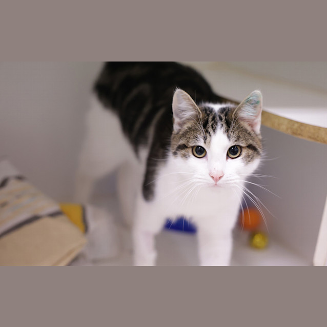 Photo of Ted