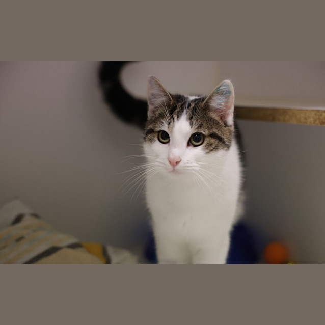 Photo of Ted