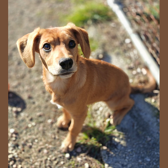 Photo of Colby Now Colby 