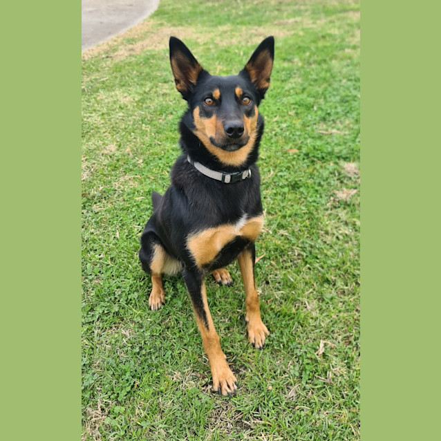 Photo of Annie