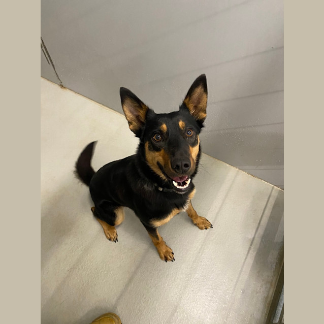 Photo of Annie