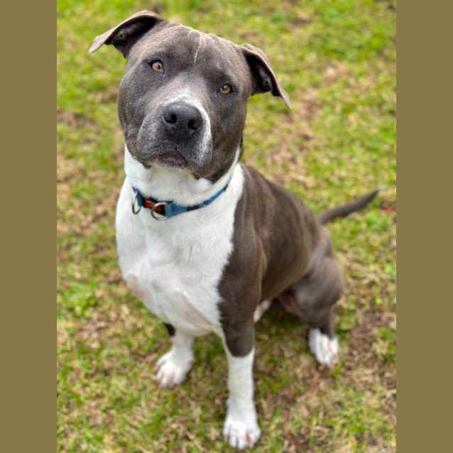 Photo of Blue