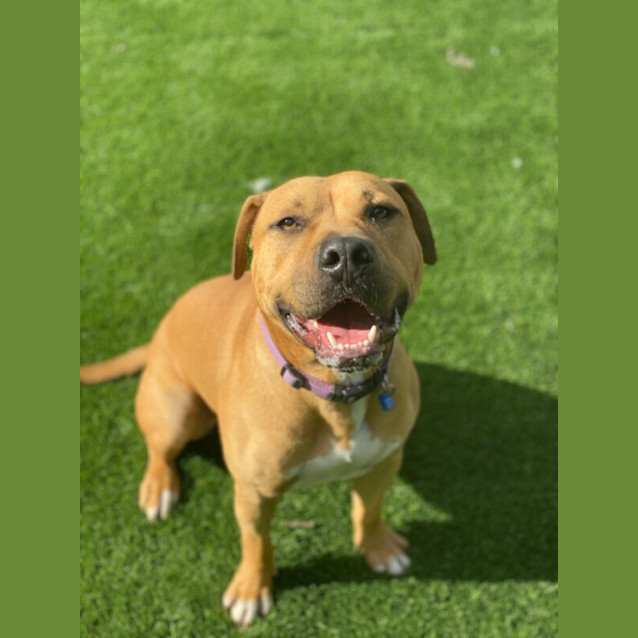 Photo of Ace