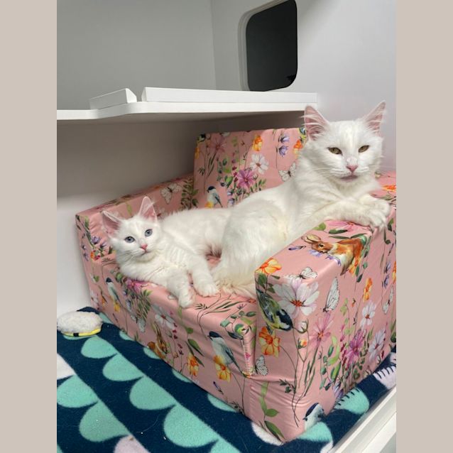 Photo of Paris & Toulouse 