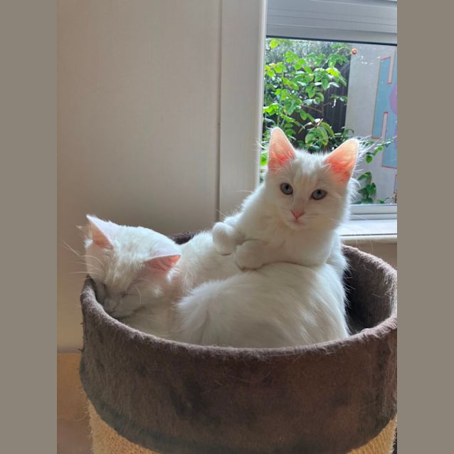 Photo of Paris & Toulouse 