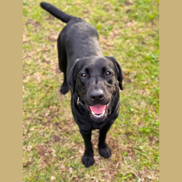 Photo of Luna