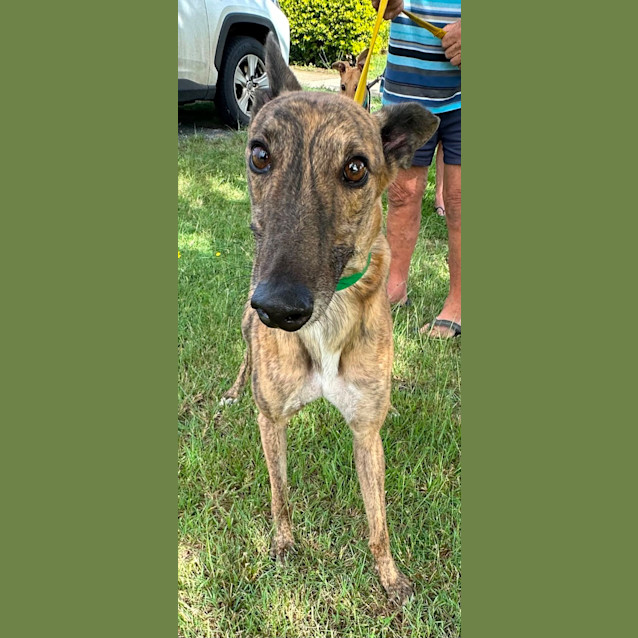 Photo of Gus