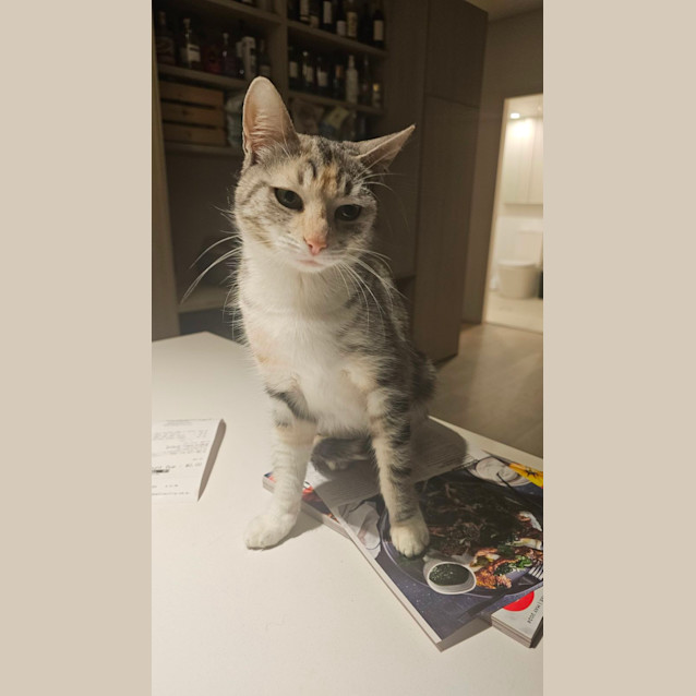 Photo of Daphne