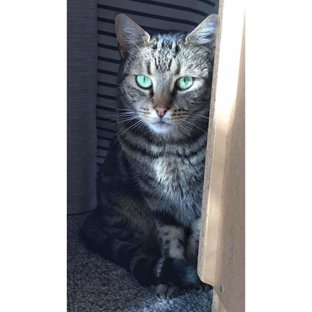 Photo of 3819    Coraline