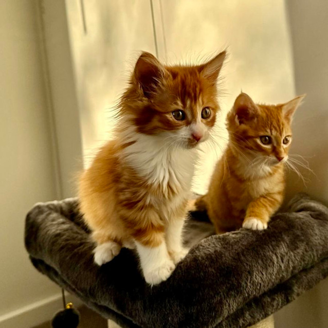 Photo of Nina And Sunny