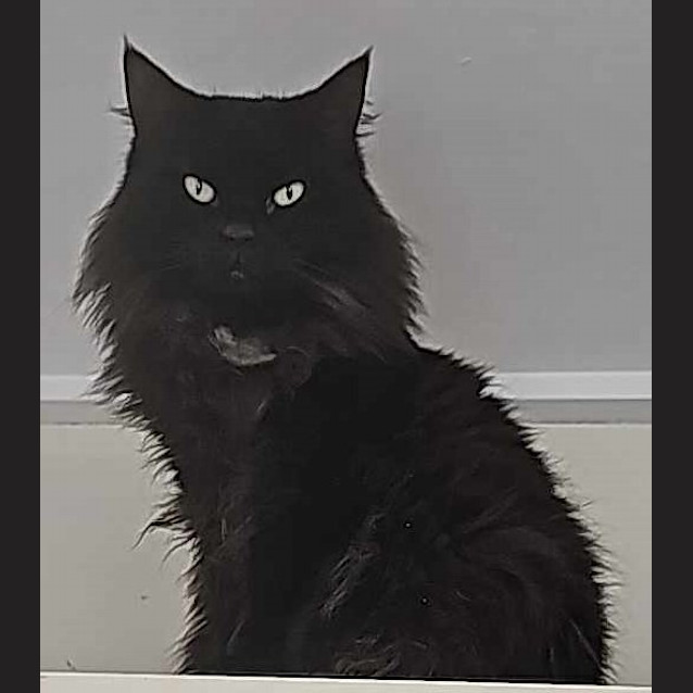 Photo of Athena