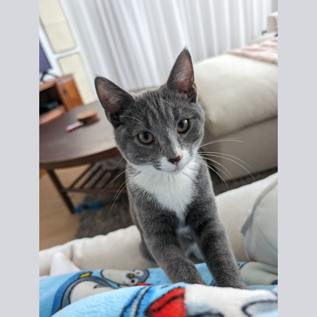 Photo of Pop Smoke 🤯✨