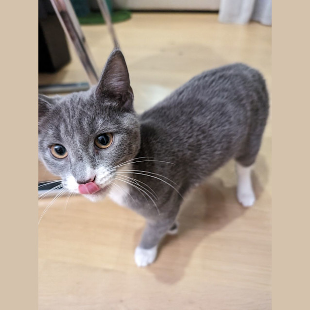 Photo of Pop Smoke 🤯✨