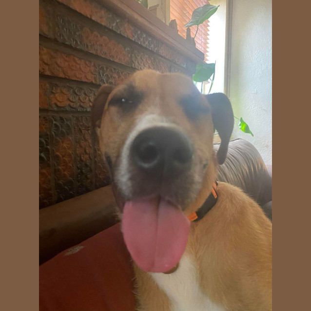 Photo of Sokka