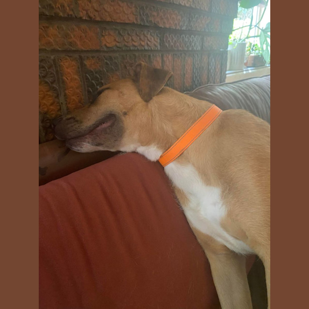 Photo of Sokka