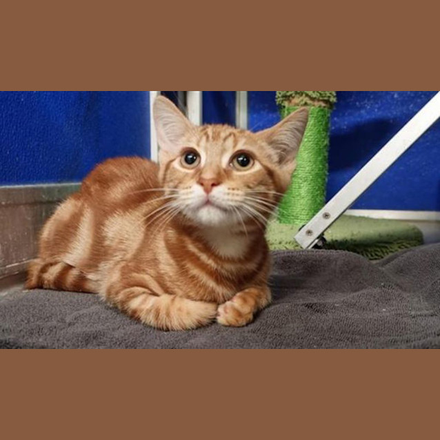 Photo of Sprout