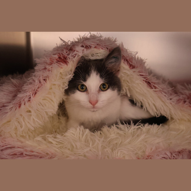 Photo of Candy