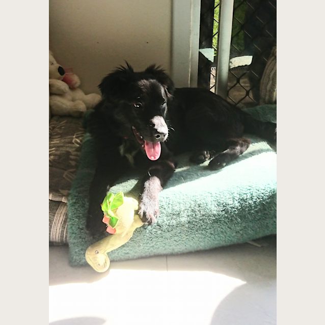 Photo of Buddy
