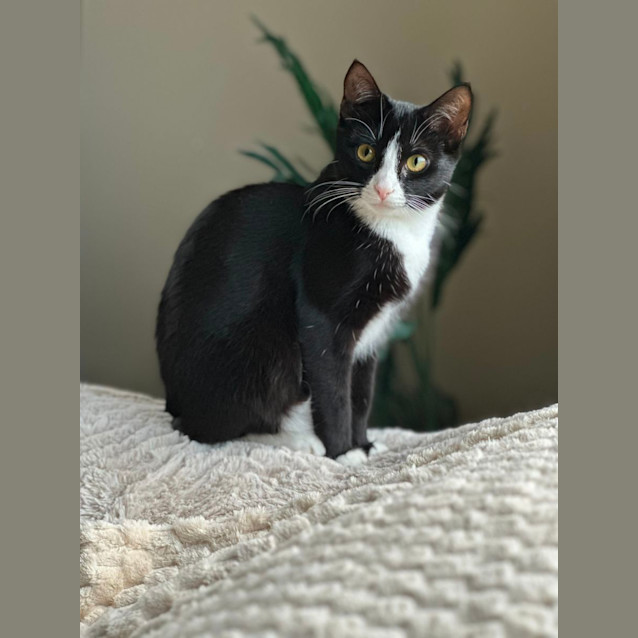 Photo of Minnie 🌷