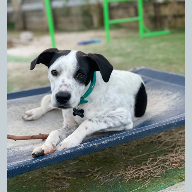 Photo of Keno