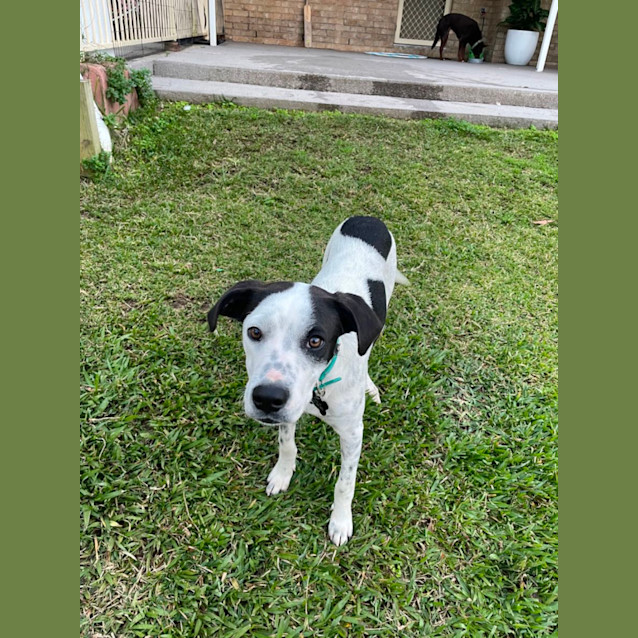 Photo of Keno