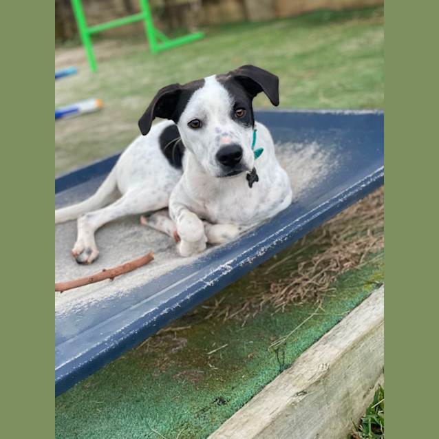 Photo of Keno