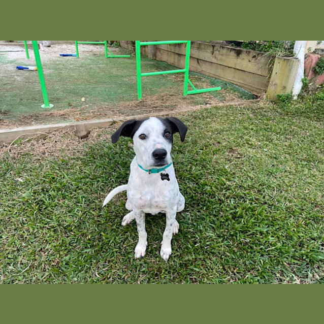 Photo of Keno