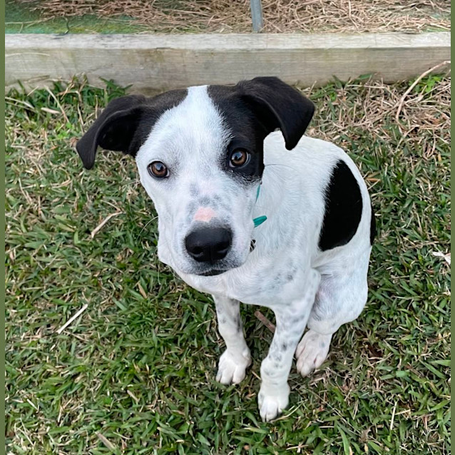 Photo of Keno