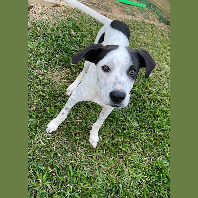 Photo of Keno