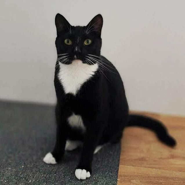 Photo of 8750   Delilah